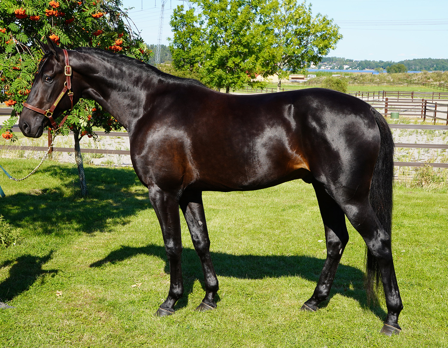 Hitting Hard 250820-1